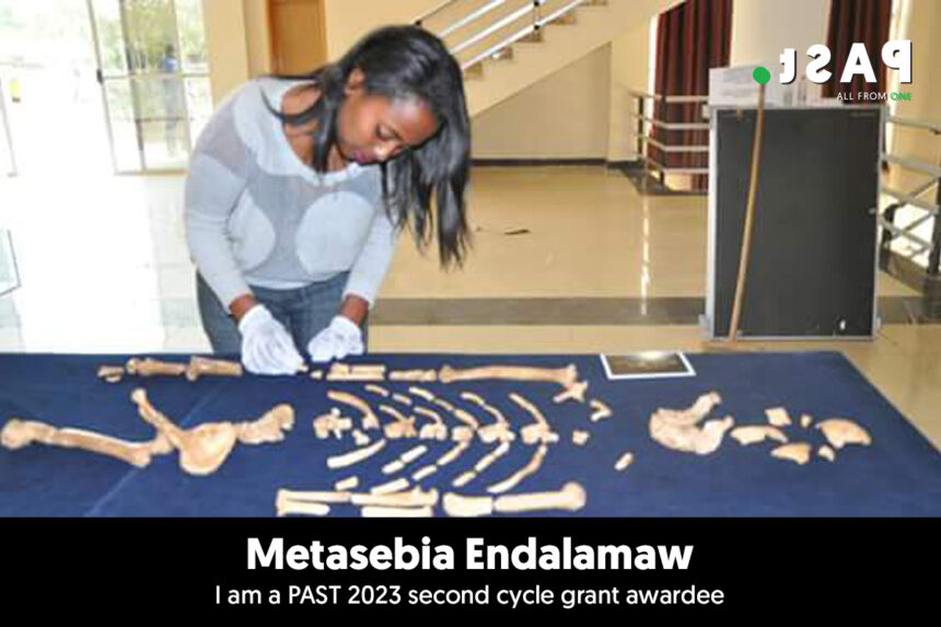 Grantee – Metasebia Endalamaw